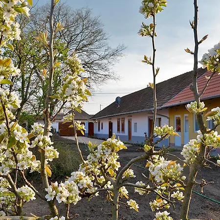 Casa de hóspedes Rigófütty Tiszaalpar