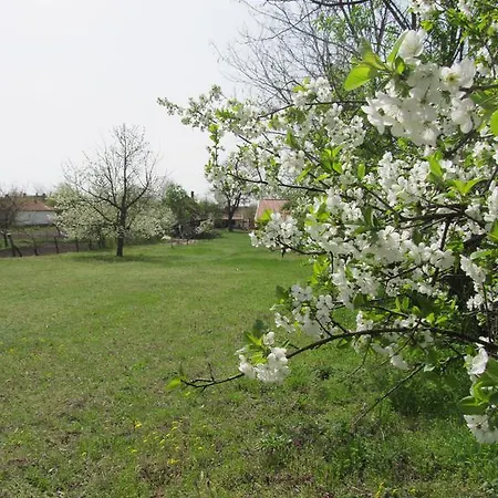 Rigófütty 3* Tiszaalpar