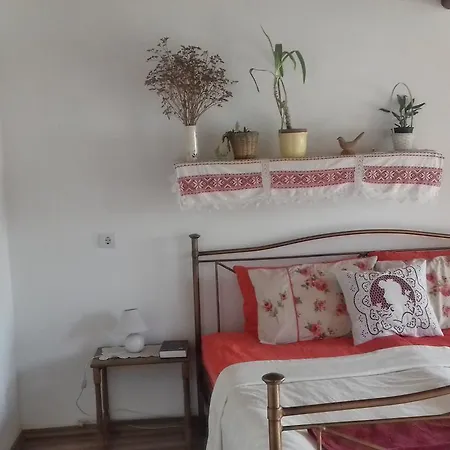 Rigofuetty Vendeghaz Guest house *