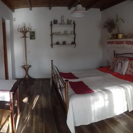 Rigófütty Casa de hóspedes Tiszaalpar