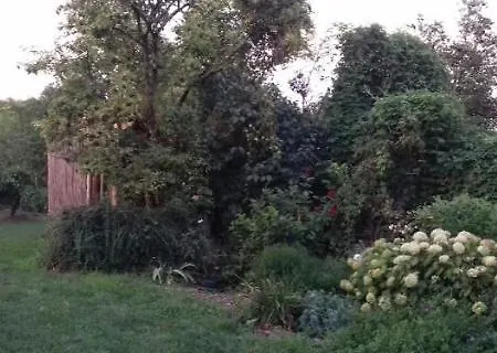 Rigófütty 3* Tiszaalpar