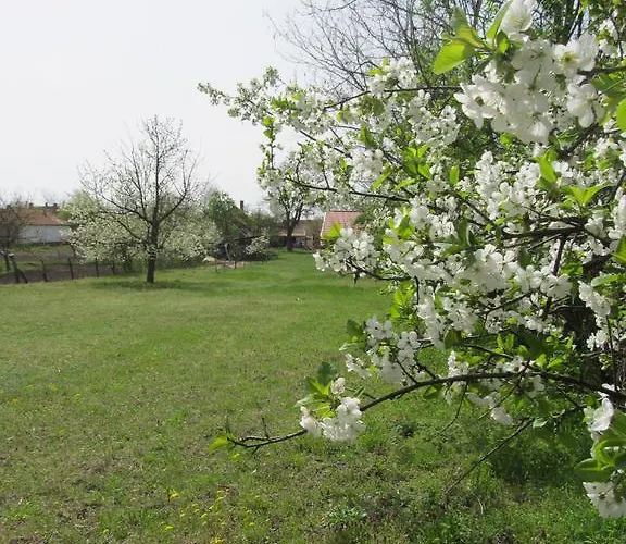 Rigofuetty Vendeghaz 3* Tiszaalpar
