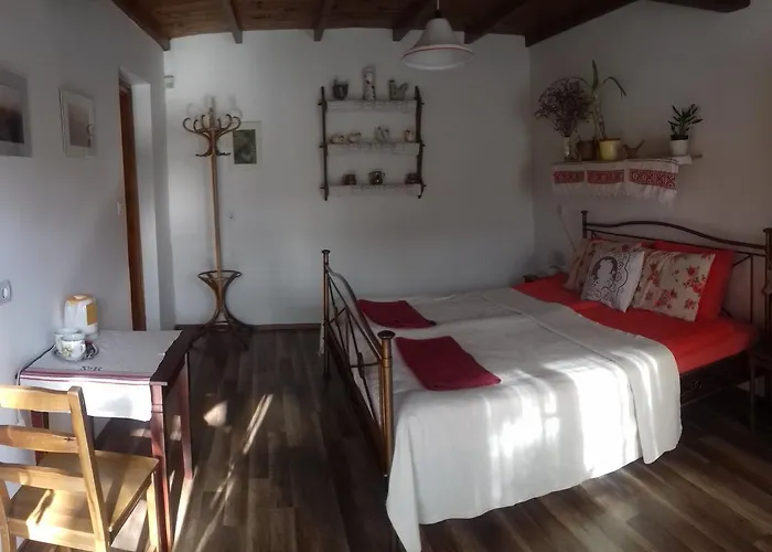 Rigofuetty Vendeghaz Gasthuis Tiszaalpar