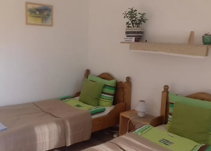 Rigofuetty Vendeghaz 3* Tiszaalpar