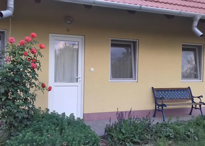 Rigofuetty Vendeghaz Pensiune Tiszaalpar